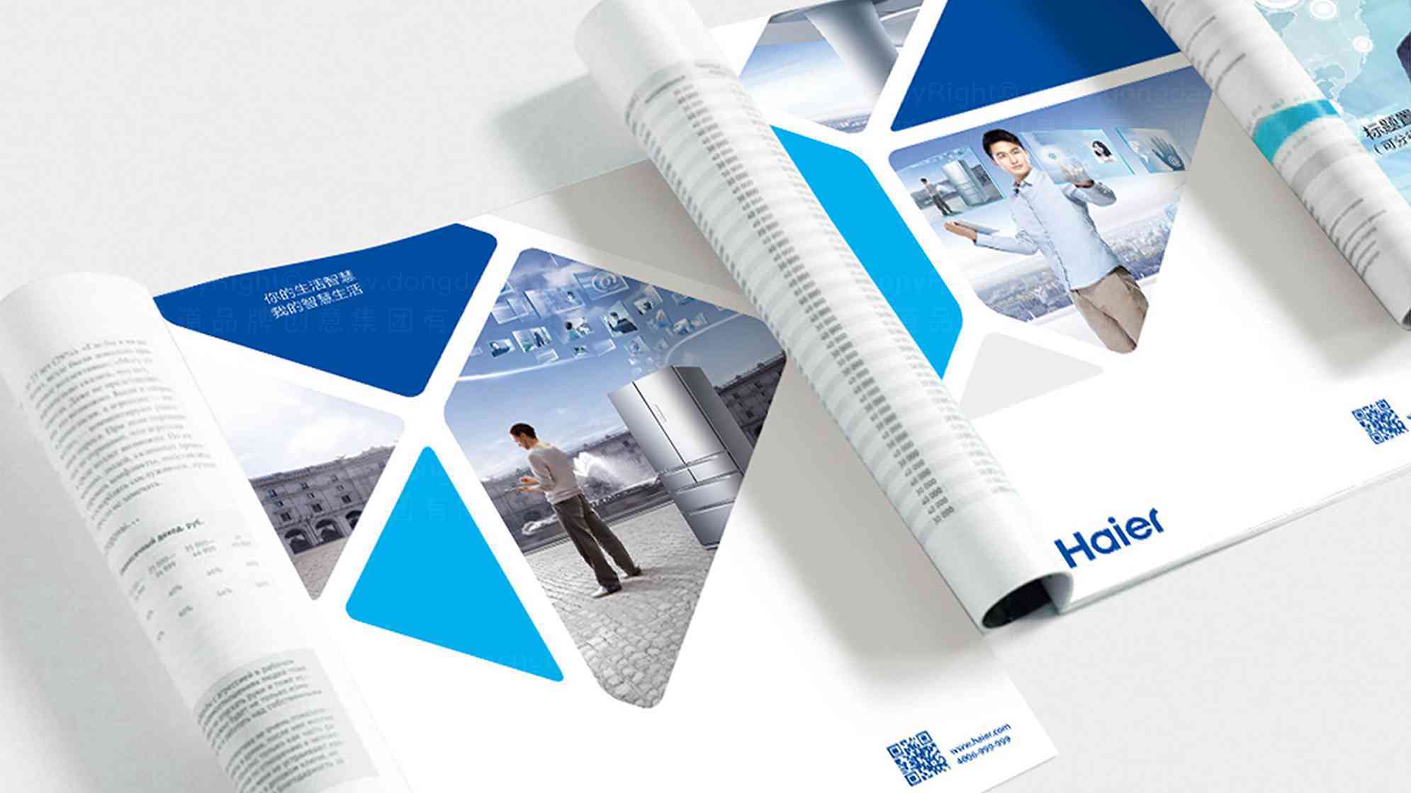 海尔Haier品牌vi设计图片素材_6