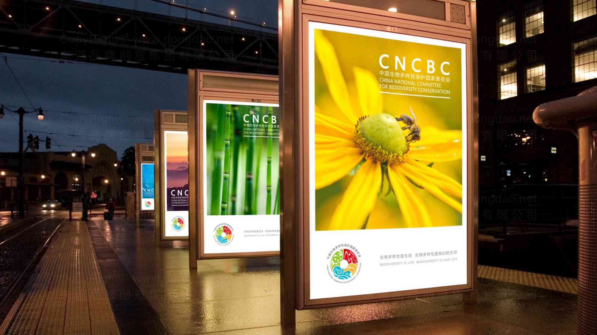 中国生物多样性保护国家委员会企业品牌logo设计图片素材_2