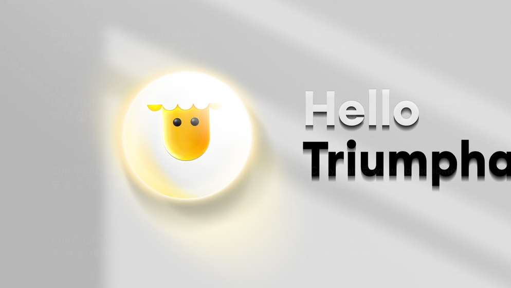 东道为加洋教育进行LOGO及VI设计